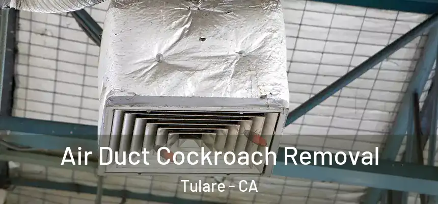 Air Duct Cockroach Removal Tulare - CA
