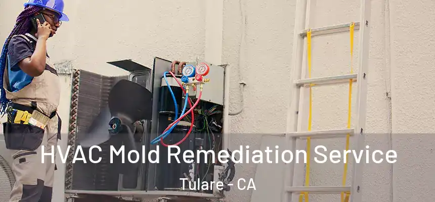  HVAC Mold Remediation Service Tulare - CA