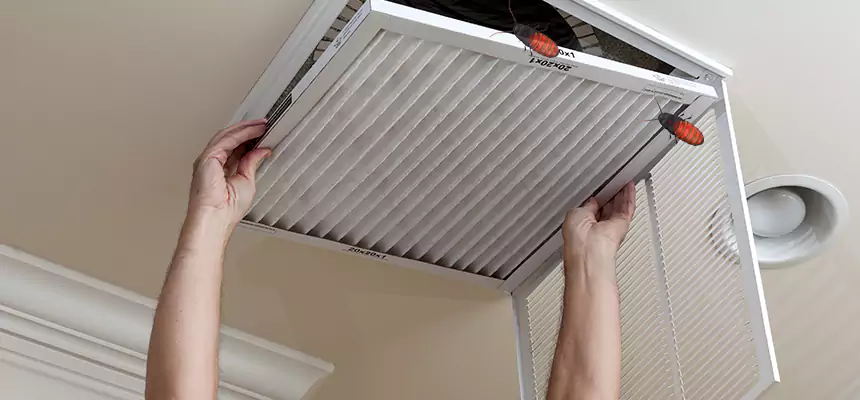Preventive Cockroach-Proofing for Ducts in Tulare