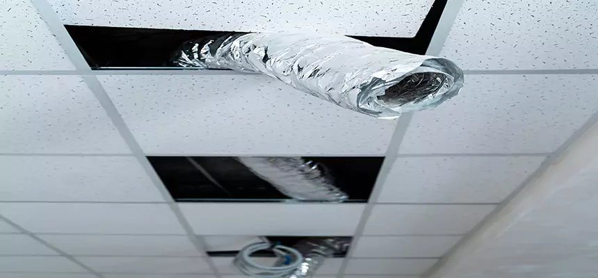 Our Air Duct Pet Hair Removal Services in Tulare, CA