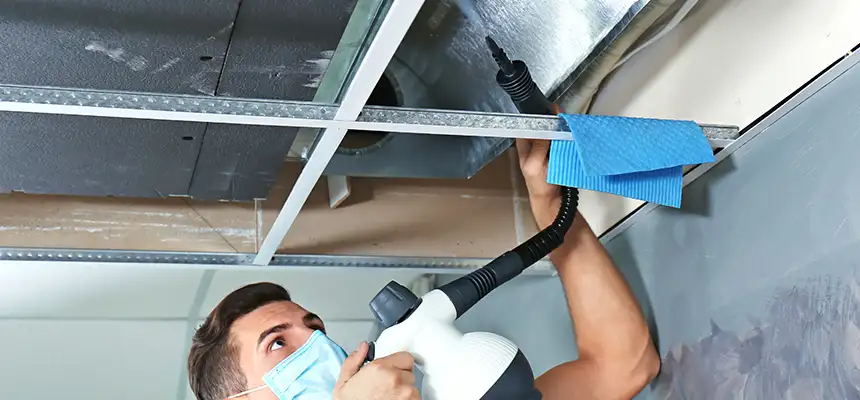 Our Air Duct Rodent Removal Services in Tulare, CA
