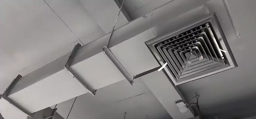 Our Pest Removal From Ducts Services in Tulare, CA