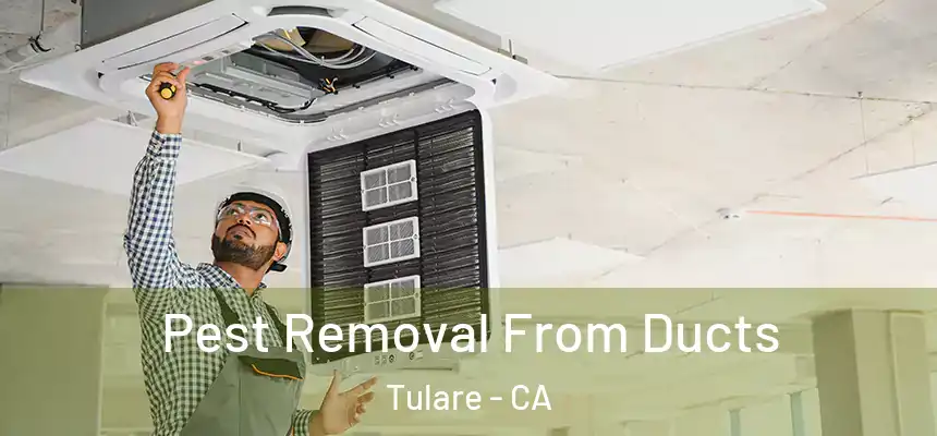  Pest Removal From Ducts Tulare - CA