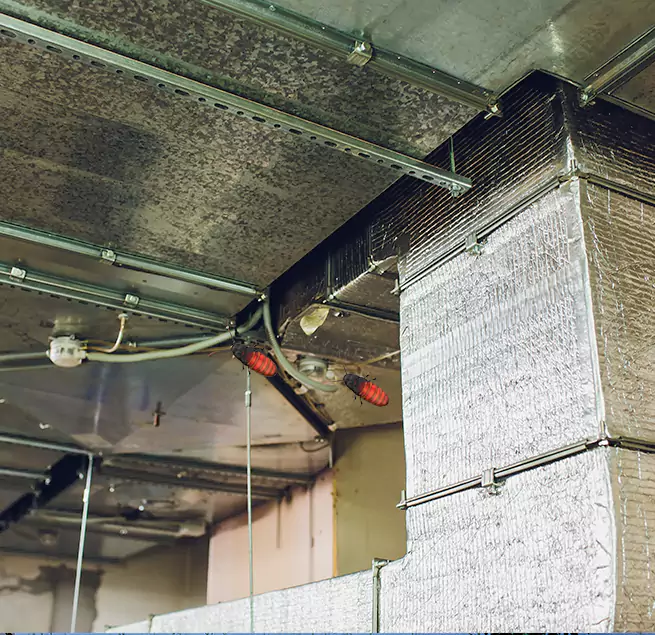 Why Homeowners & Businesses Trust Us in Tulare, CA?