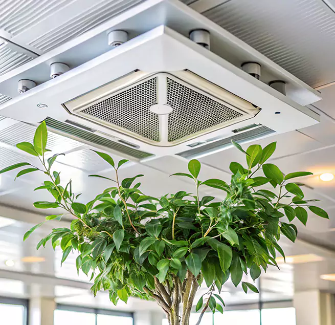 Why Homeowners & Businesses Trust Us in Tulare, CA?